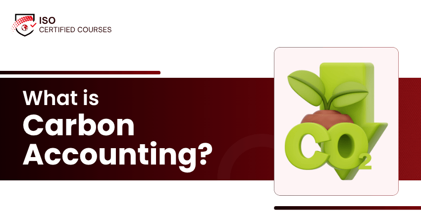 What is Carbon Accounting